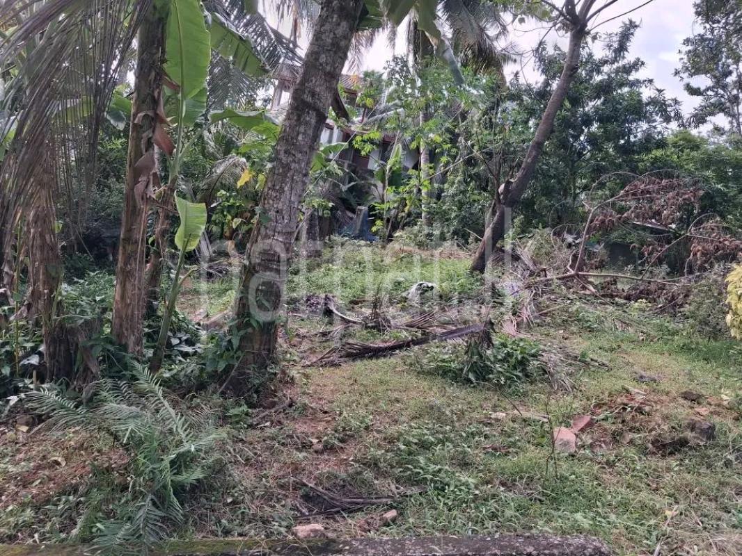 Residential Land for Sale in Kandana