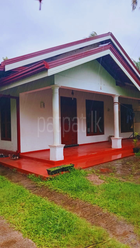 premium-listing-image