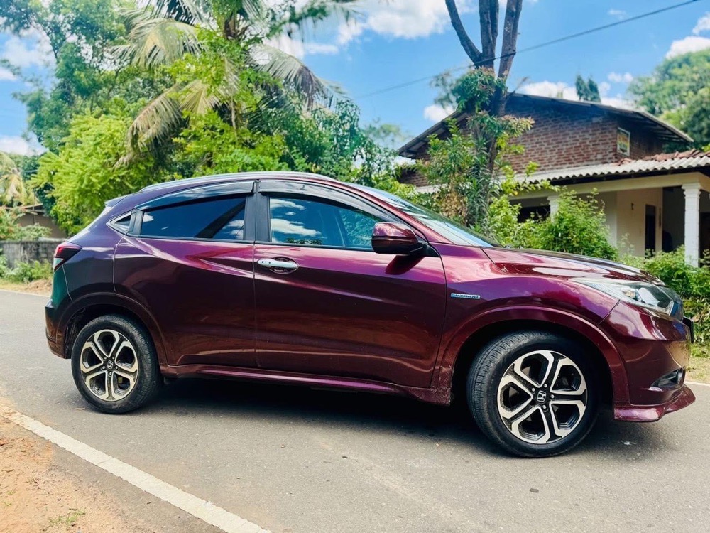 Advertisement image 3