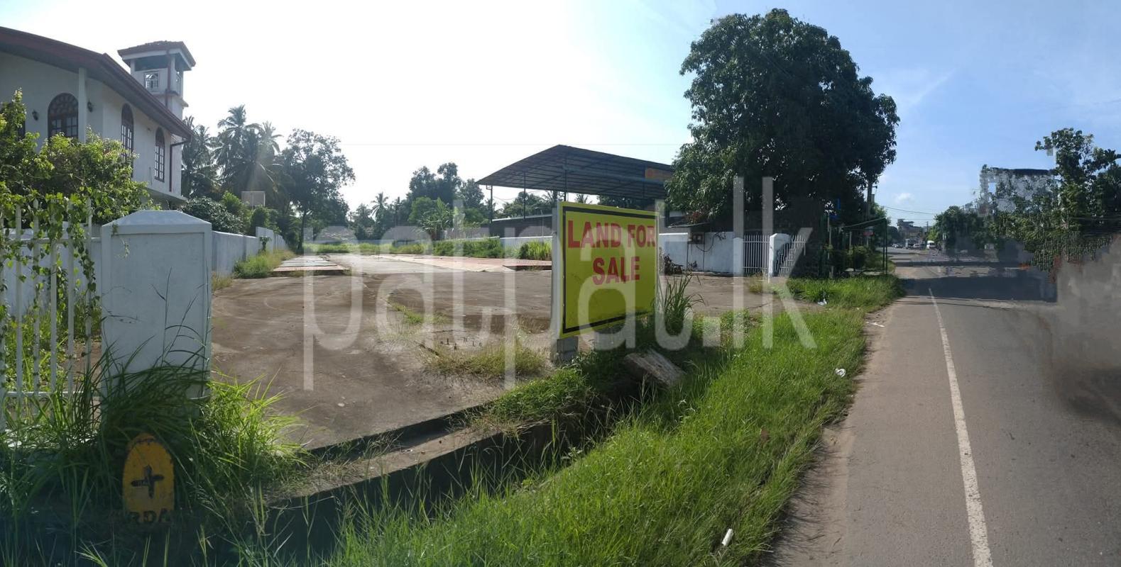 premium-listing-image