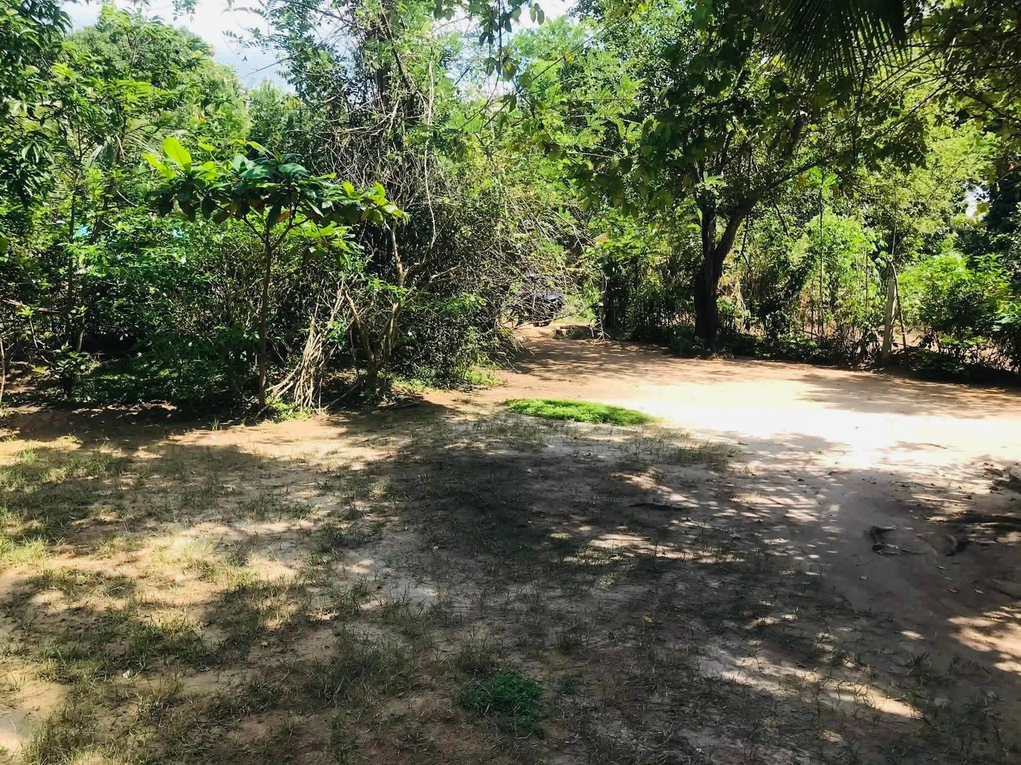 Agricultural Land for Sale in Sewanagala