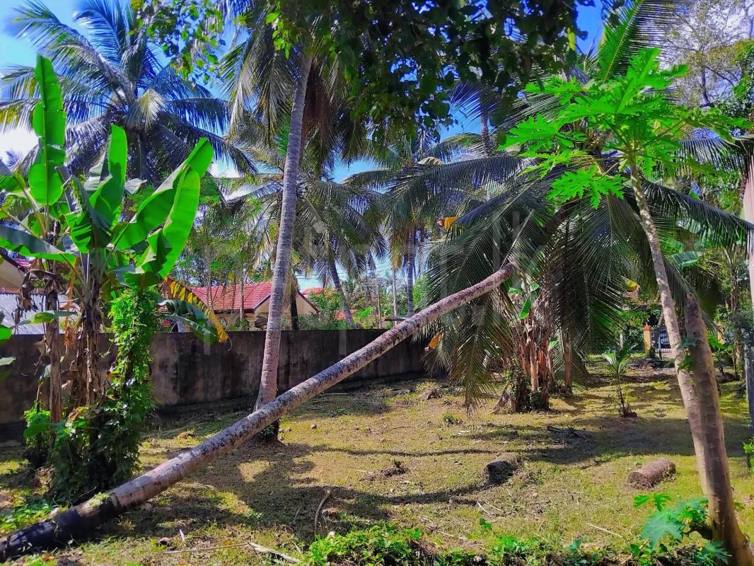 Residential Land for Sale in Kochchikade