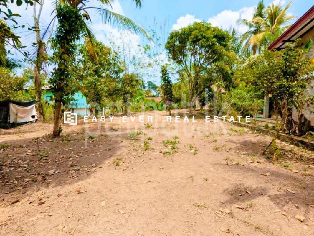 Residential Land for Sale in Kalagedihena