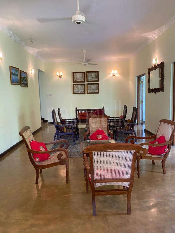 premium-listing-image