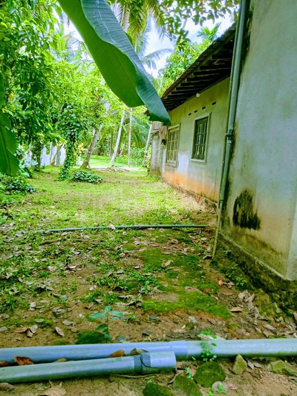 House for Sale in Veyangoda