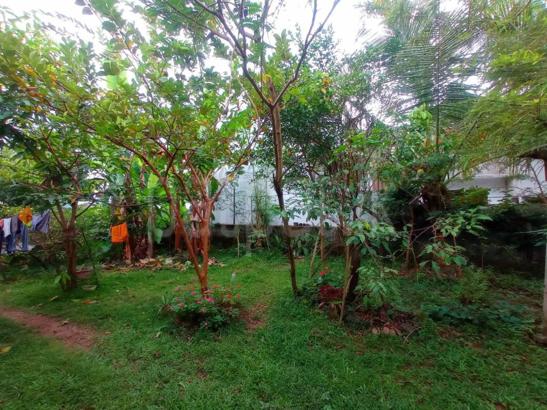 Commercial Land for Sale in Pannipitiya