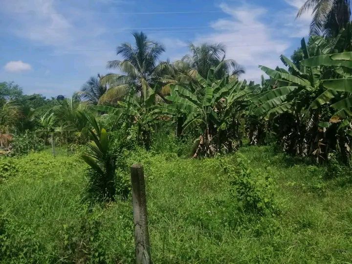 Residential Land for Sale in Kurunegala