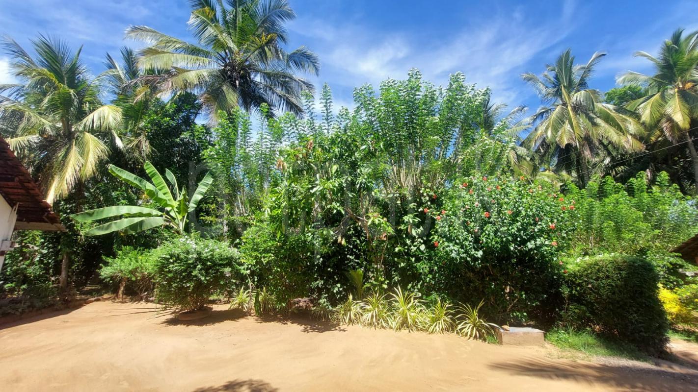 House for Sale in Embilipitiya