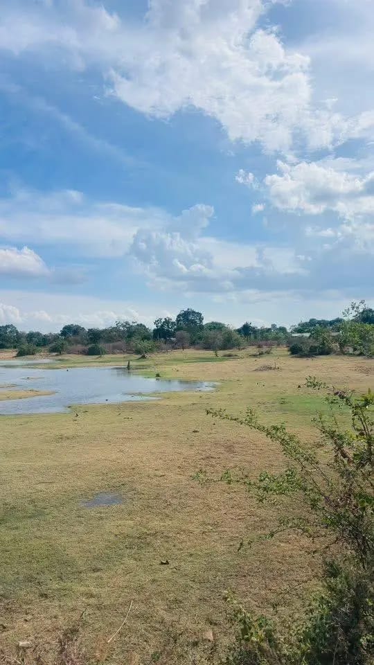 Residential Land for Sale in Kataragama