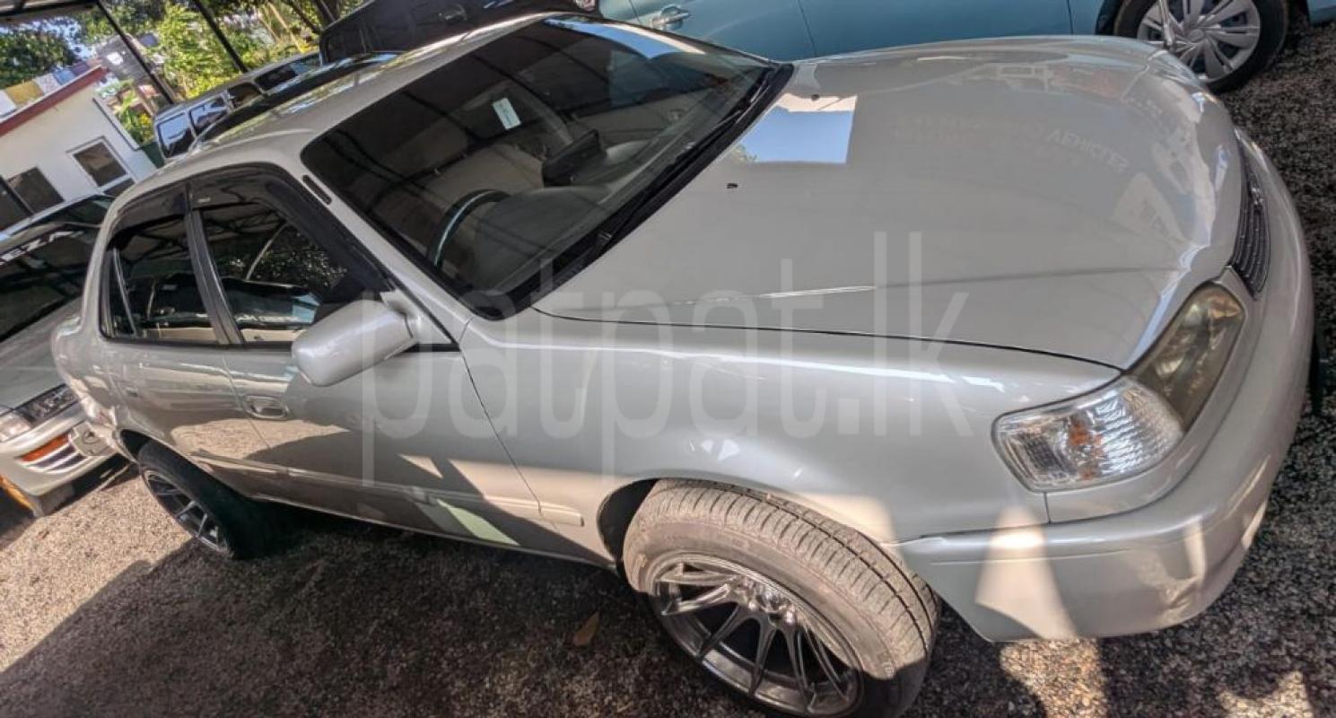 Advertisement image 3