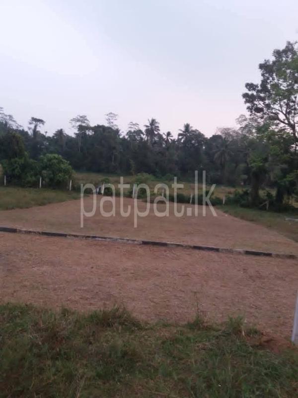 Residential Land for Sale in Avissawella
