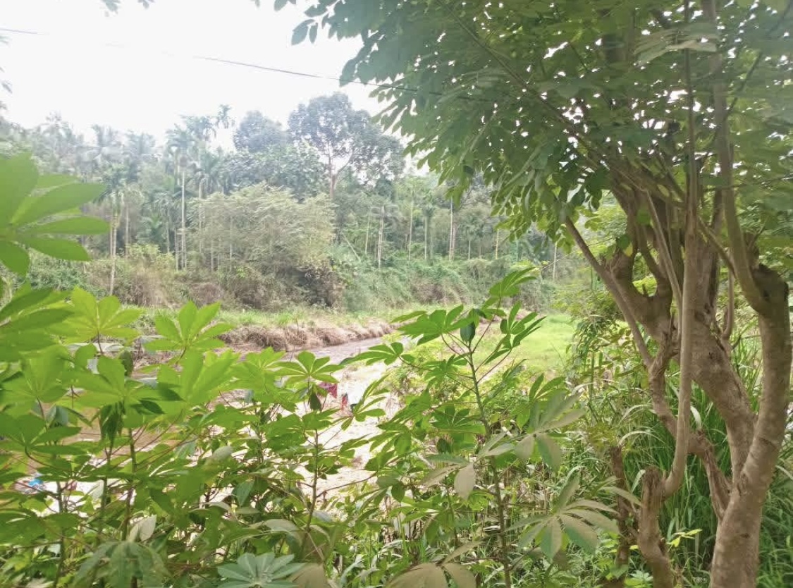 Agricultural Land for Sale in Dehiowita