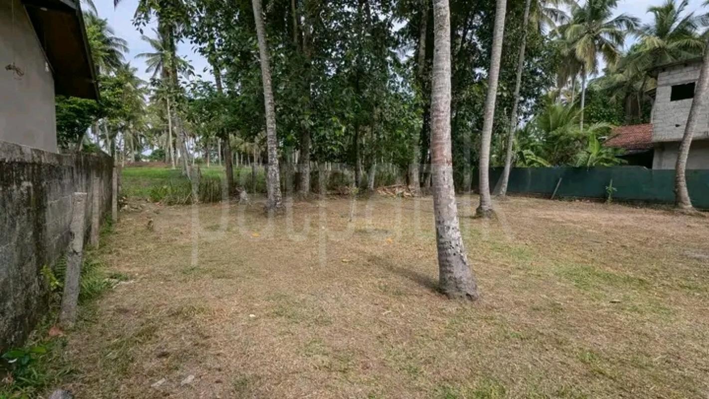 Commercial Land for Sale in Nittambuwa