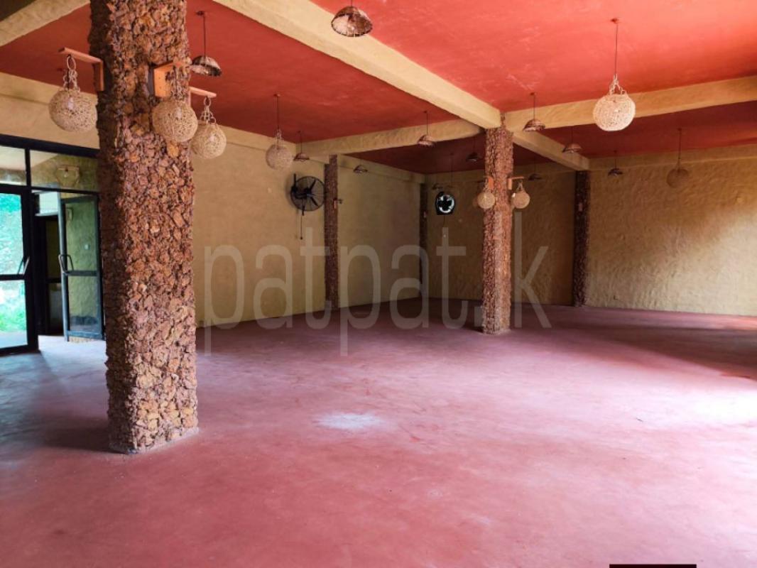 Advertisement image 6