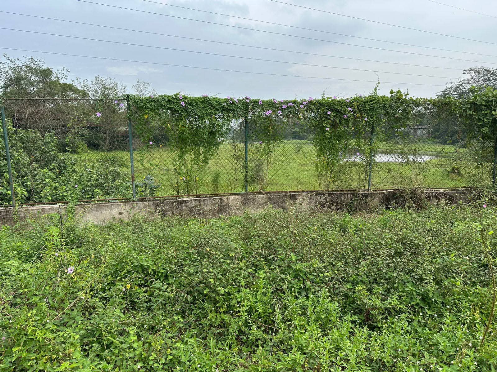 Commercial Land for Sale in Kaduwela