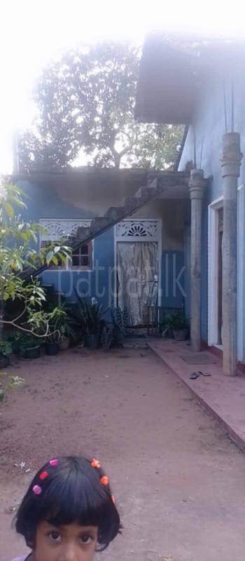 House for Sale in Divulapitiya