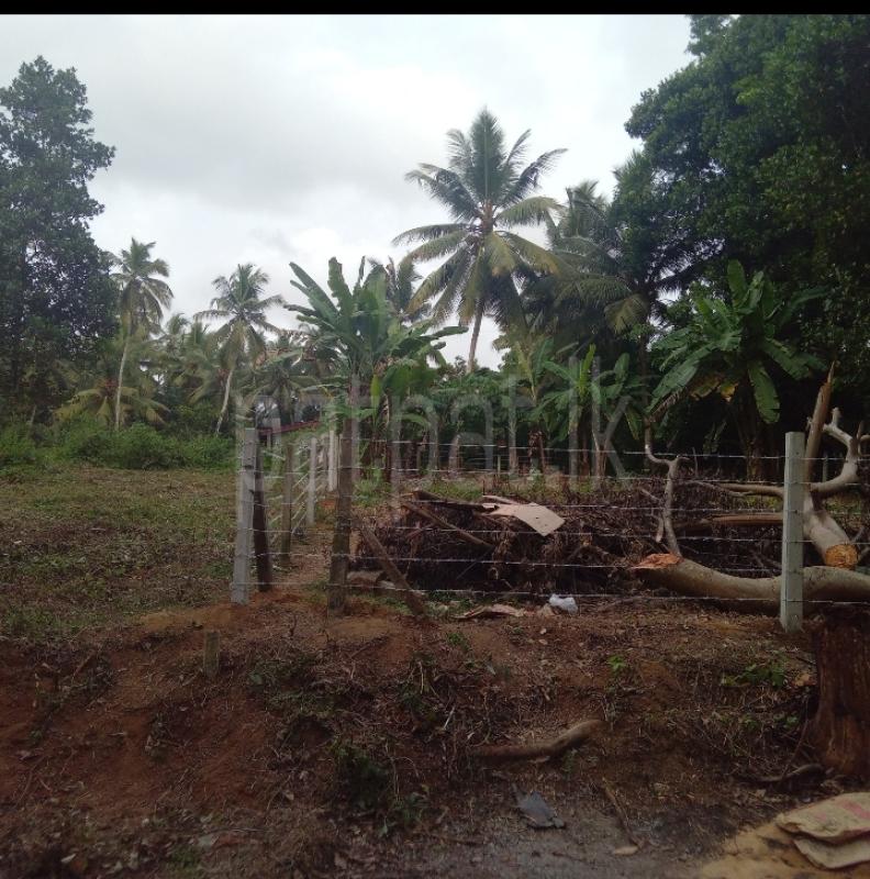 Residential Land for Sale in Bandaragama