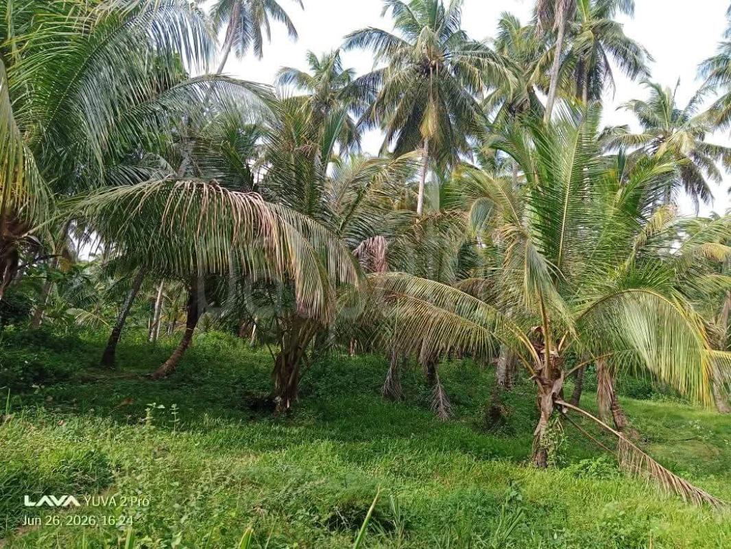 Agricultural Land for Sale in Melsiripura