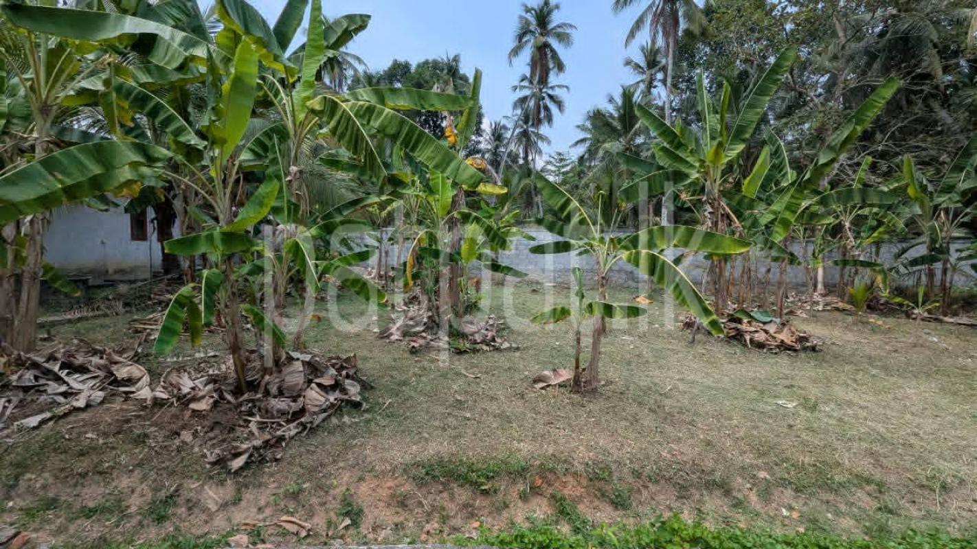 Residential Land for Sale in Yakkala