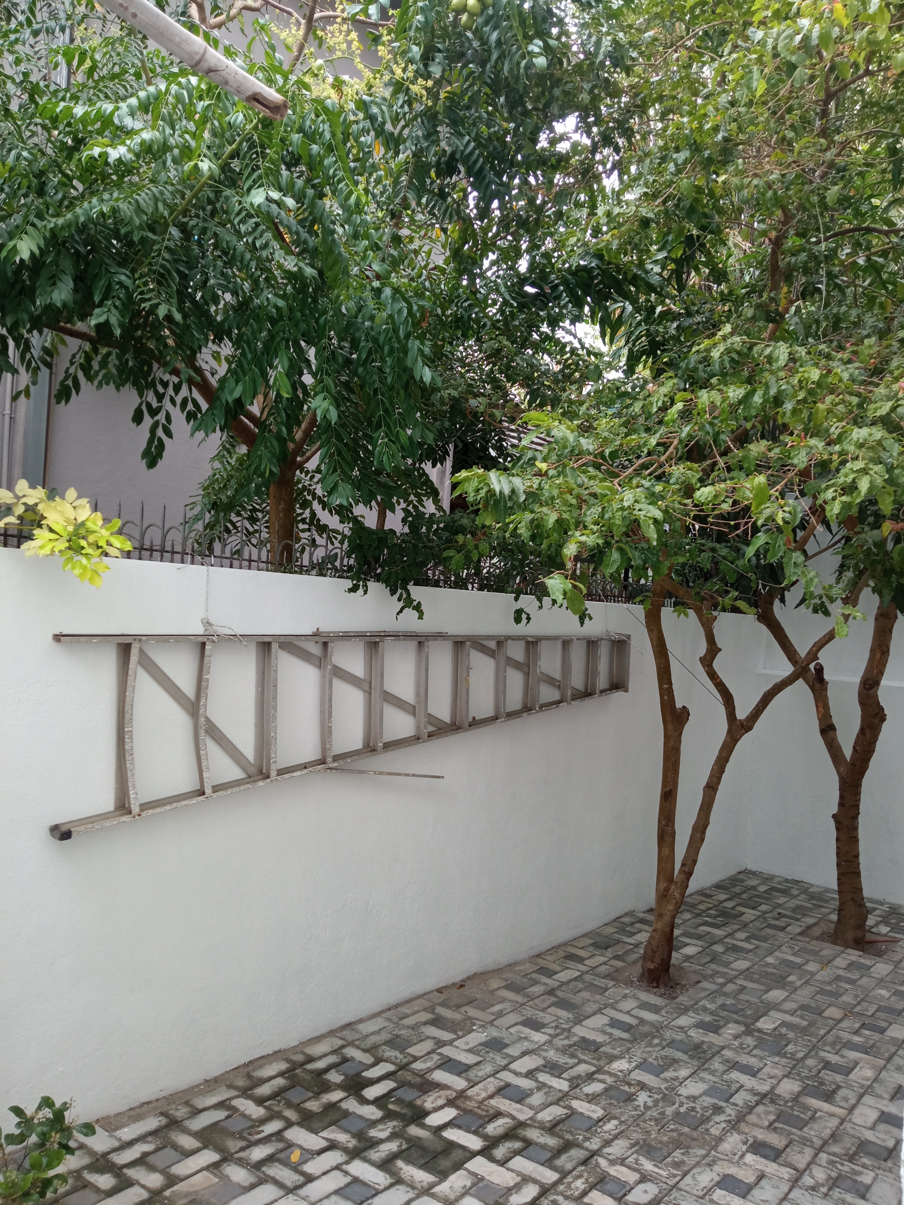 Room for Rent in Katunayake