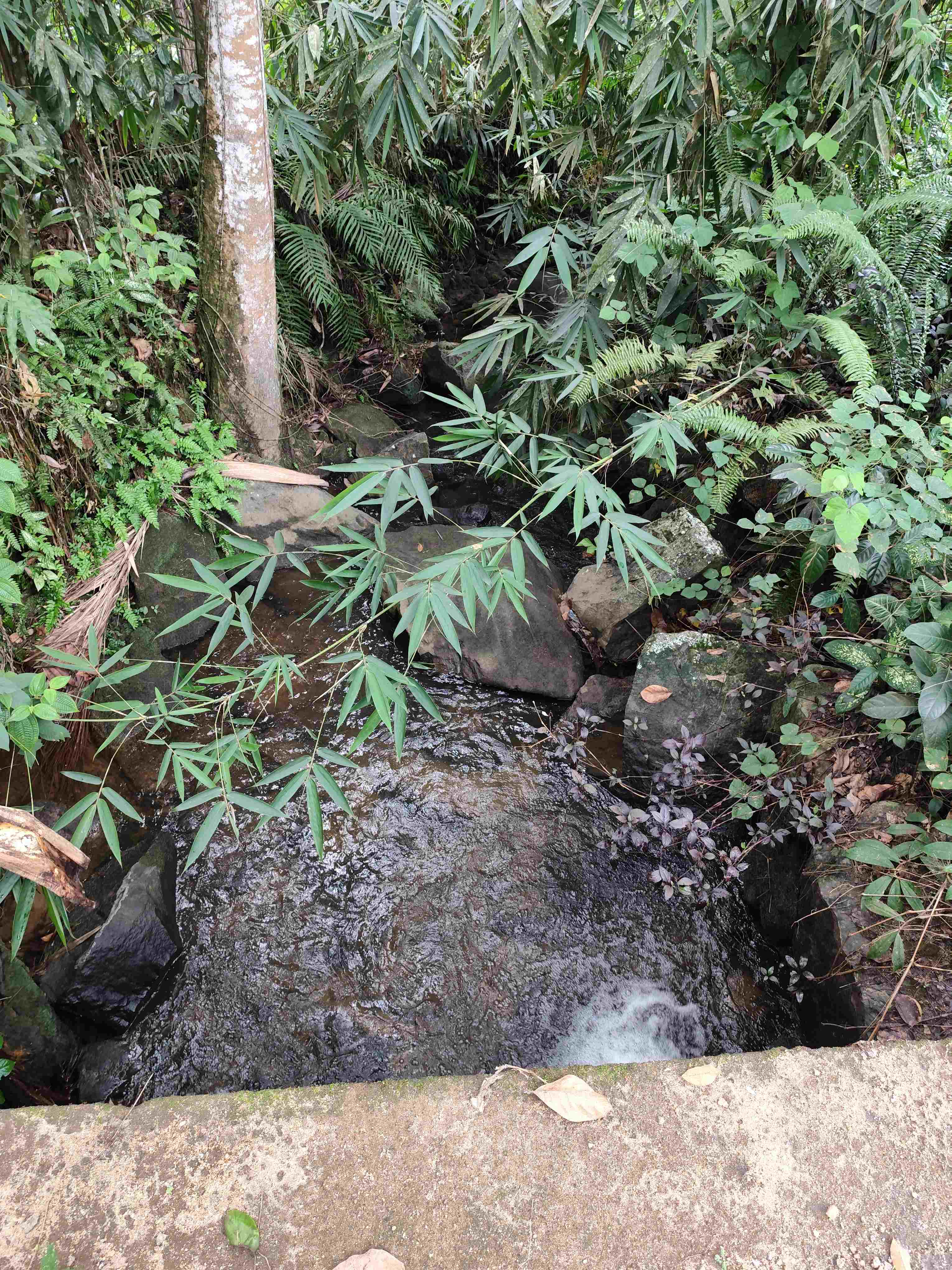 Agricultural Land for Sale in Elpitiya