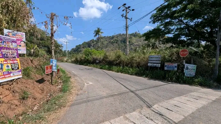 Commercial Land for Sale in Giriulla