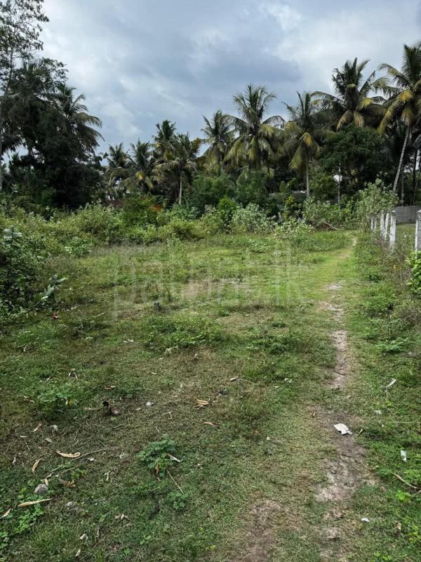 Commercial Land for Sale in Unawatuna