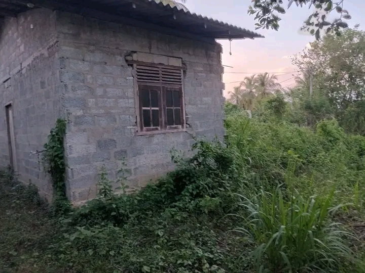 House for Sale in Beliatta