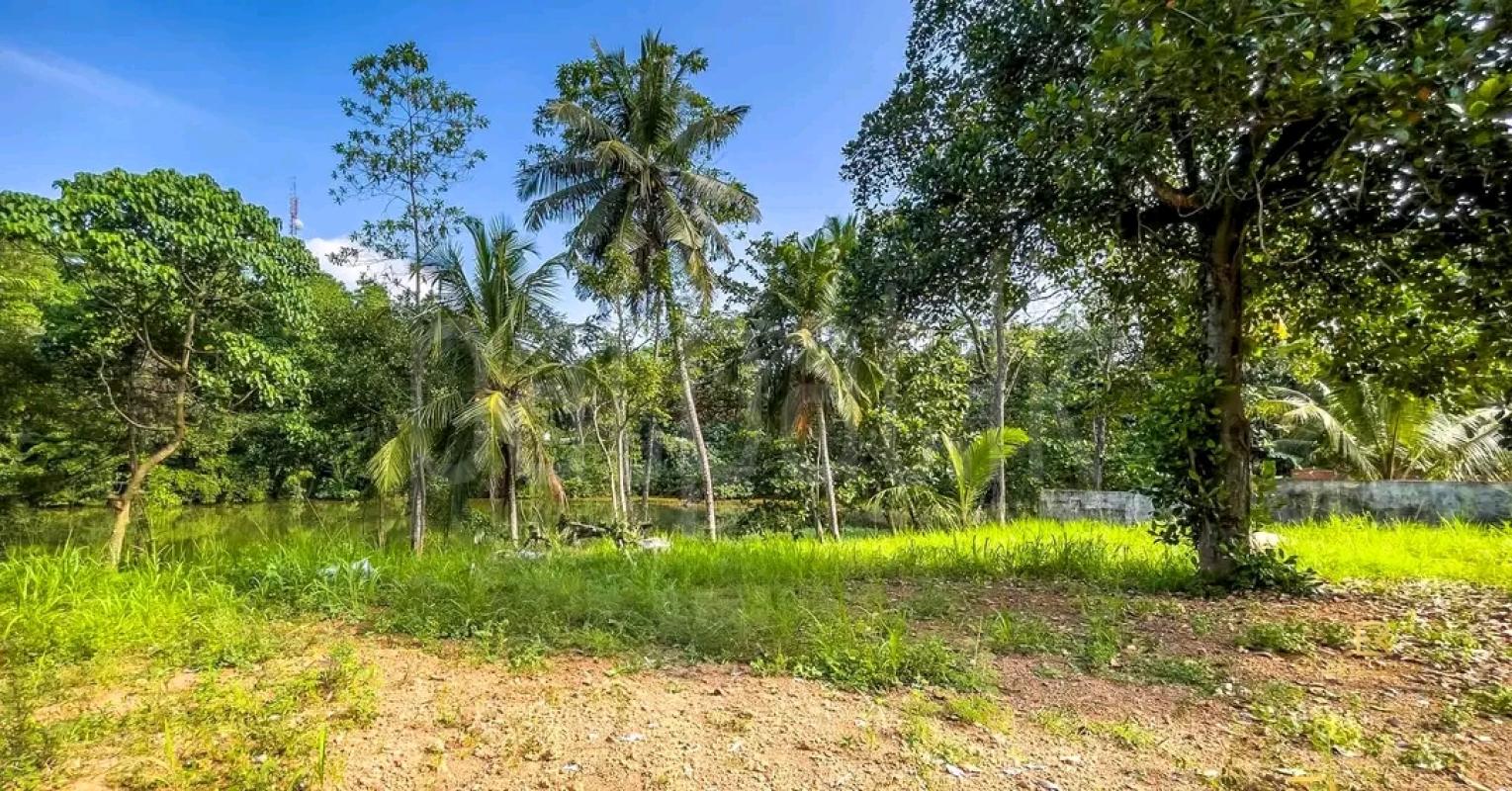 Residential Land for Sale in Yakkala ads-image-1