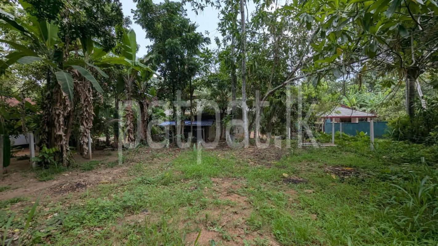 Residential Land for Sale in Veyangoda