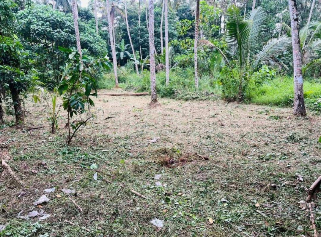 Residential Land for Sale in Kaduwela