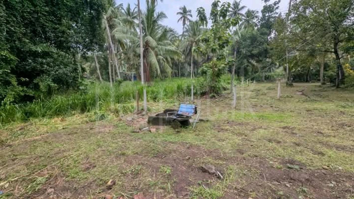 Commercial Land for Sale in Kirillawala
