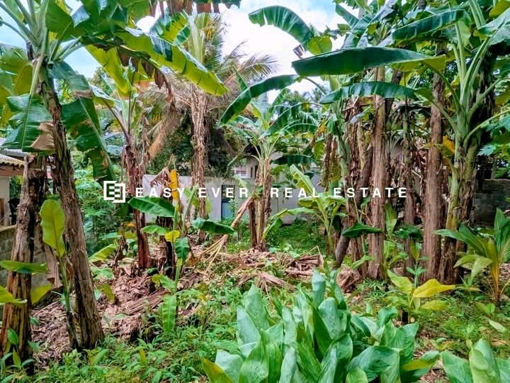 Commercial Land for Sale in Kirillawala