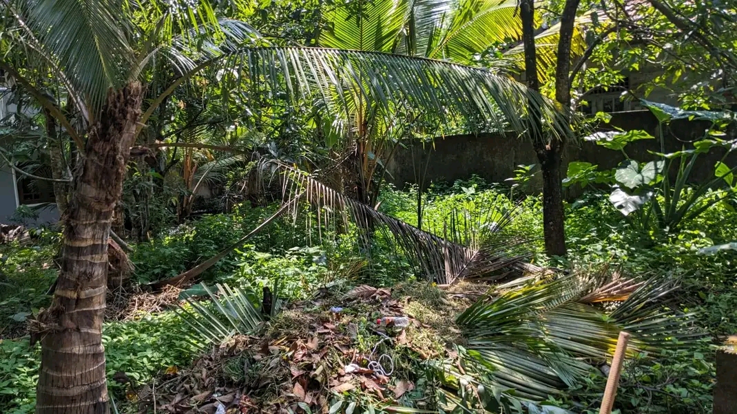 Agricultural Land for Sale in Avissawella