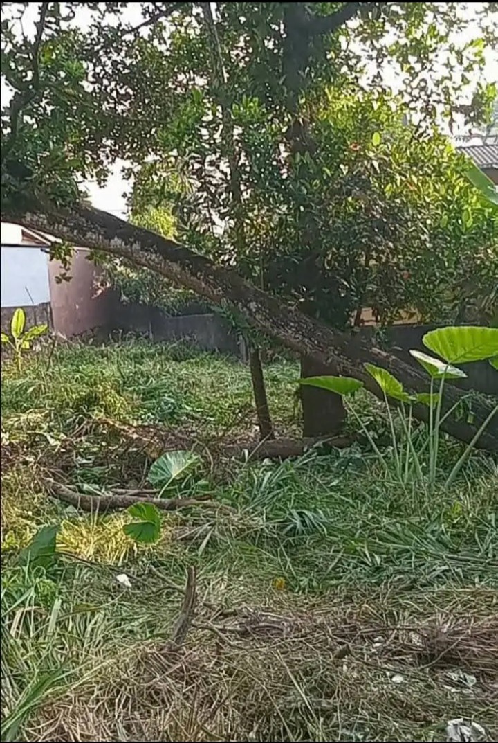Residential Land for Sale in Pannipitiya