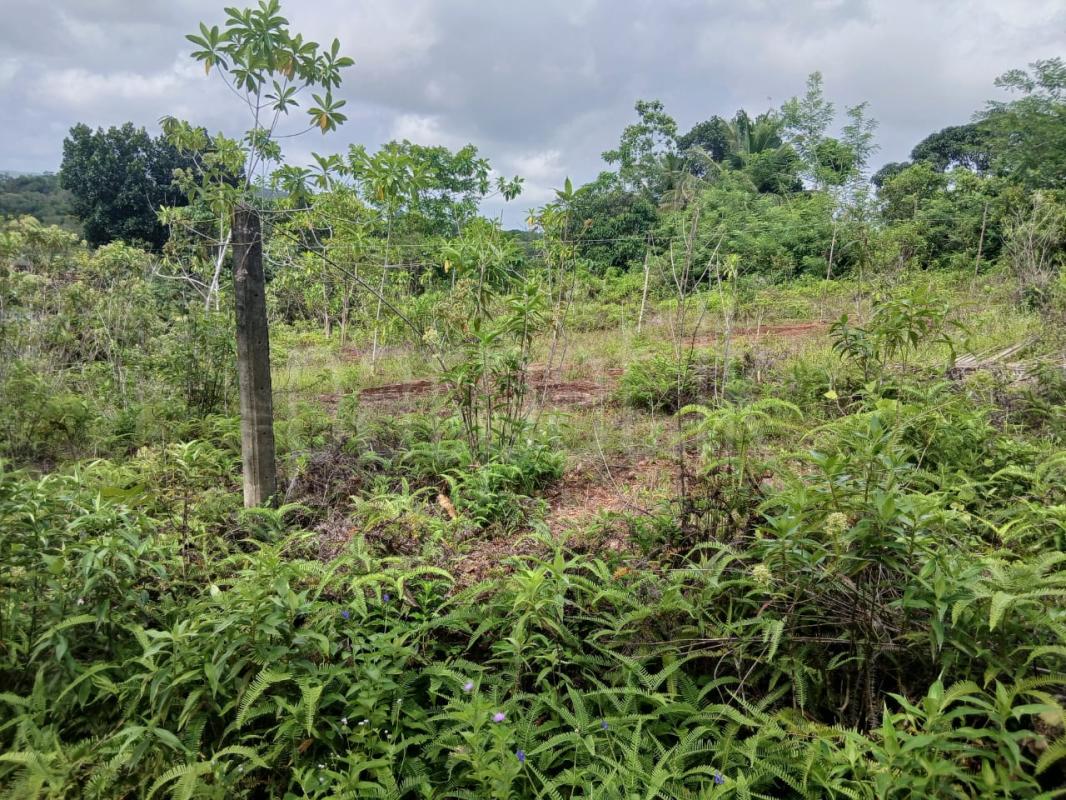 Residential Land for Sale in Kalutara