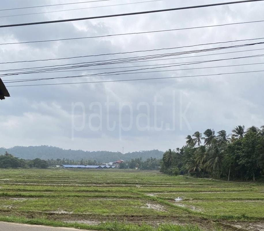 Agricultural Land for Sale in Hakmana ads-image-1