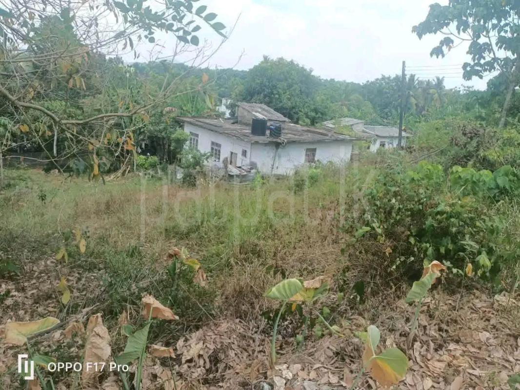 Agricultural Land for Sale in Mawathagama