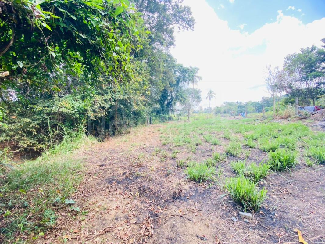 Commercial Land for Sale in Narammala