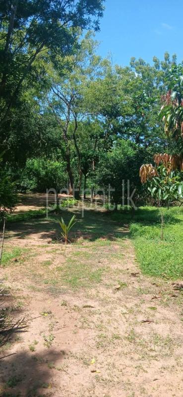 Residential Land for Sale in Kataragama