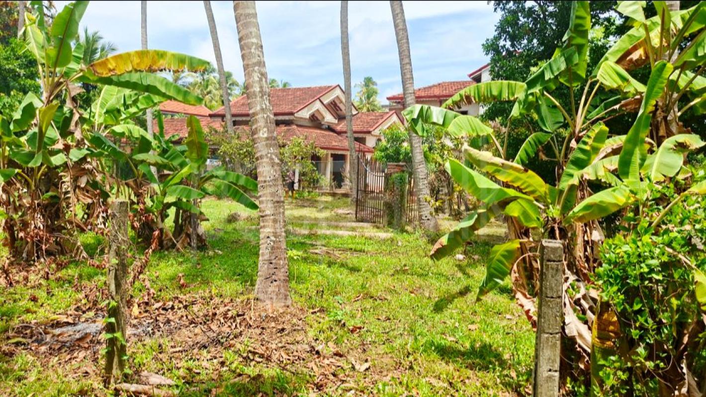 premium-listing-image