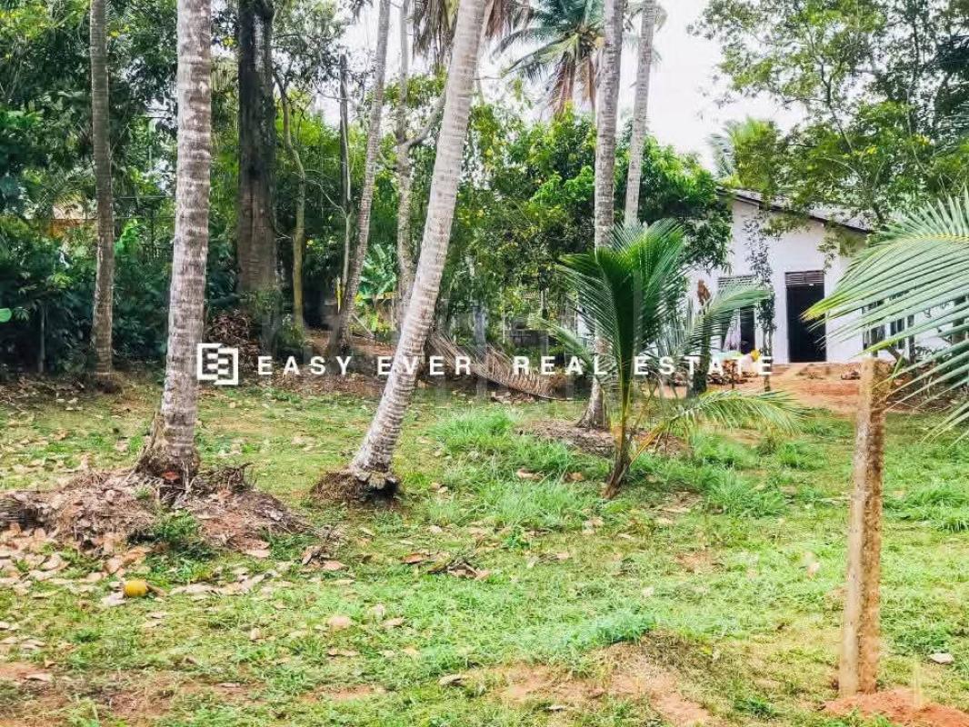 Residential Land for Sale in Batuwatta