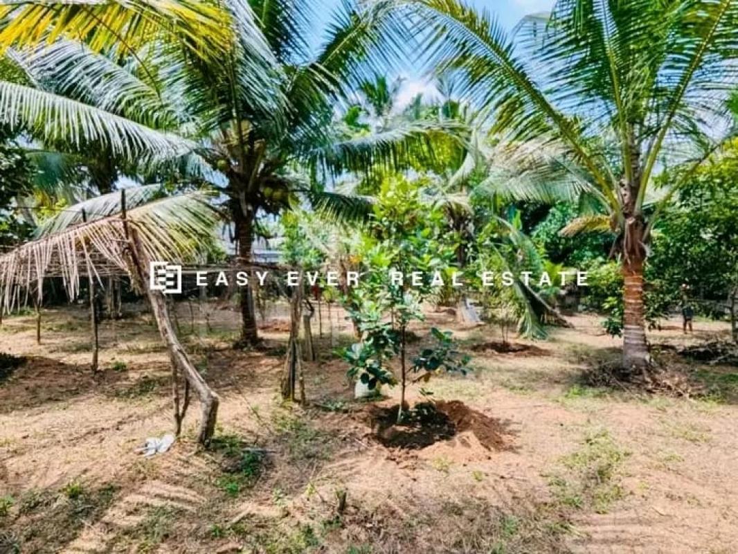 Commercial Land for Sale in Hanwella