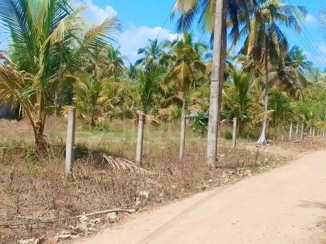 Commercial Land for Sale in Wariyapola ads-image-1