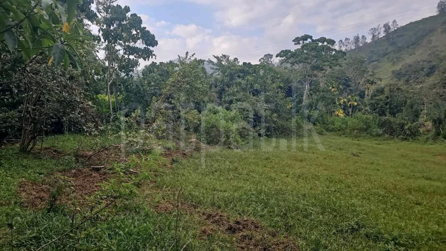 Agricultural Land for Sale in Haputale ads-image-1