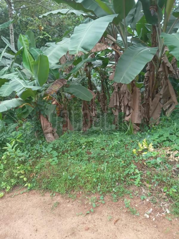 Residential Land for Sale in Matugama