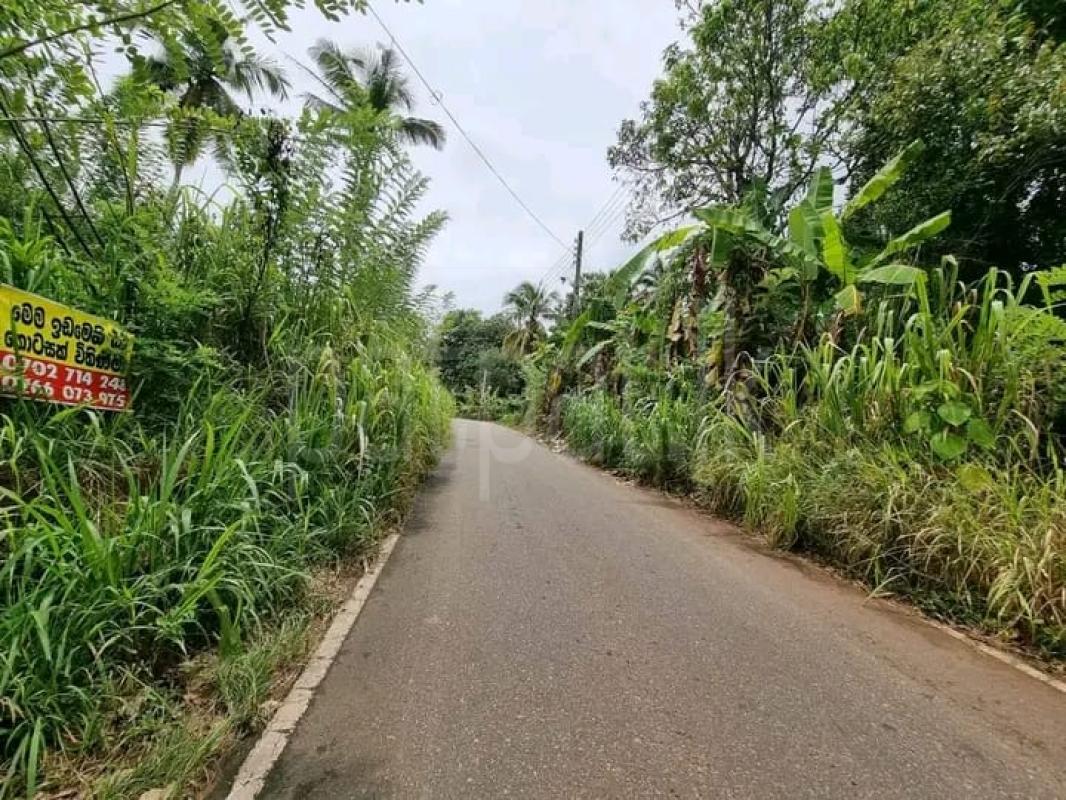 Advertisement image 1