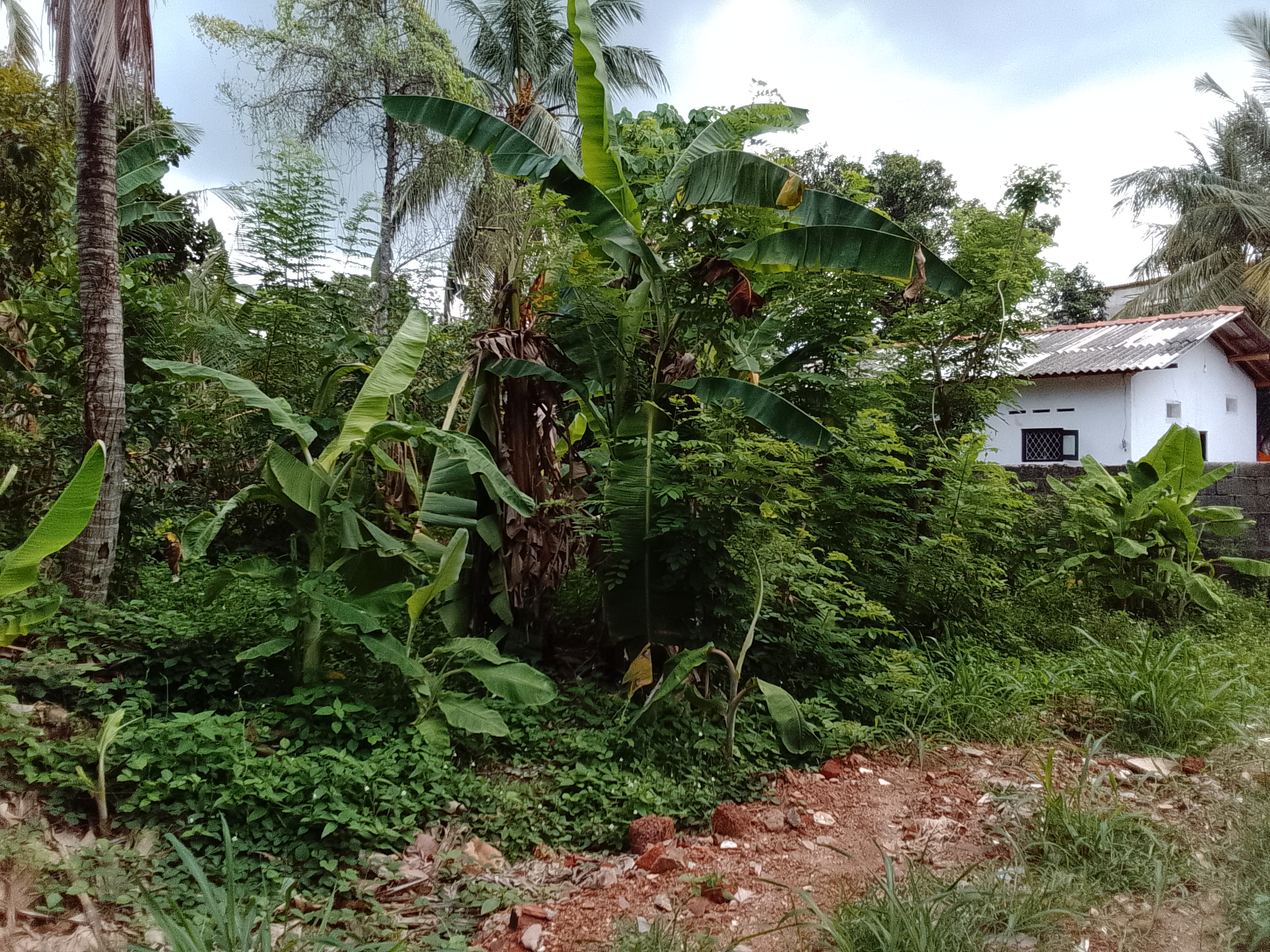 Residential Land for Sale in Kelaniya