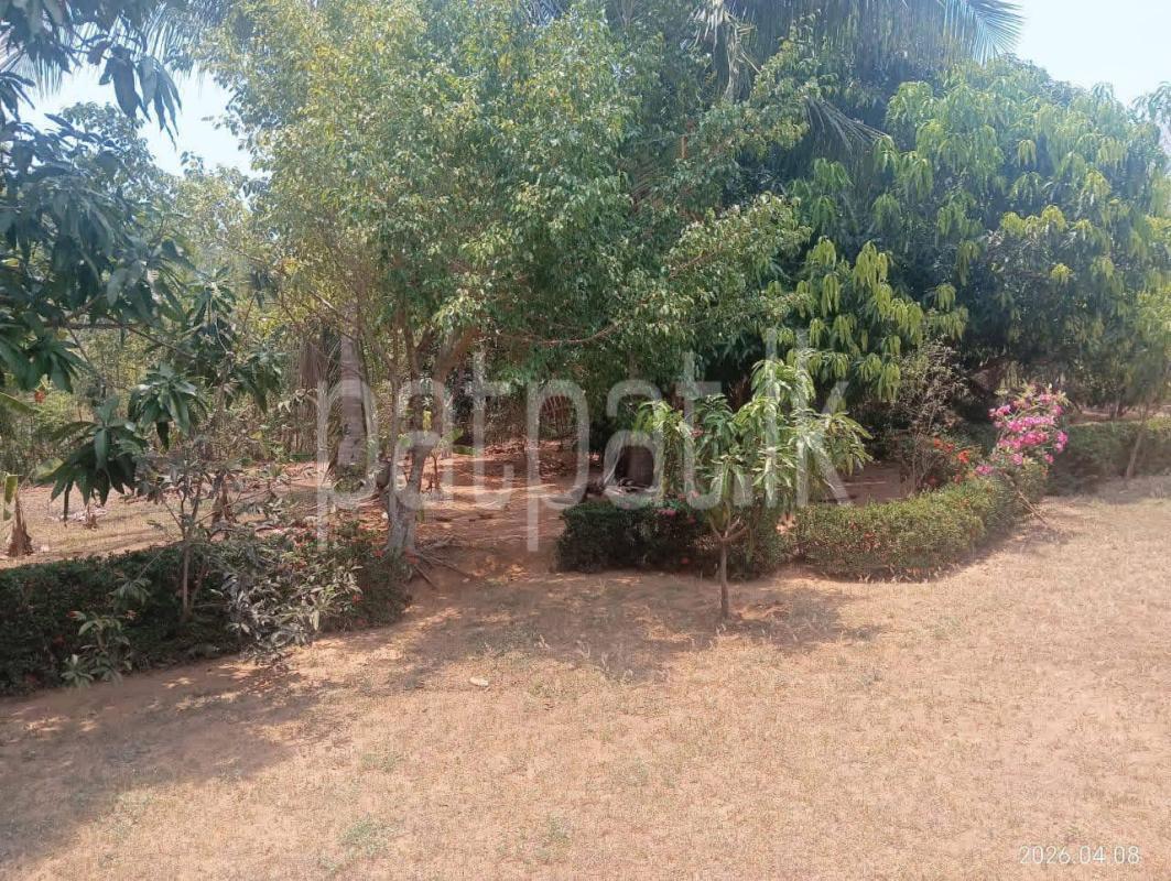 House for Sale in Tissamaharama