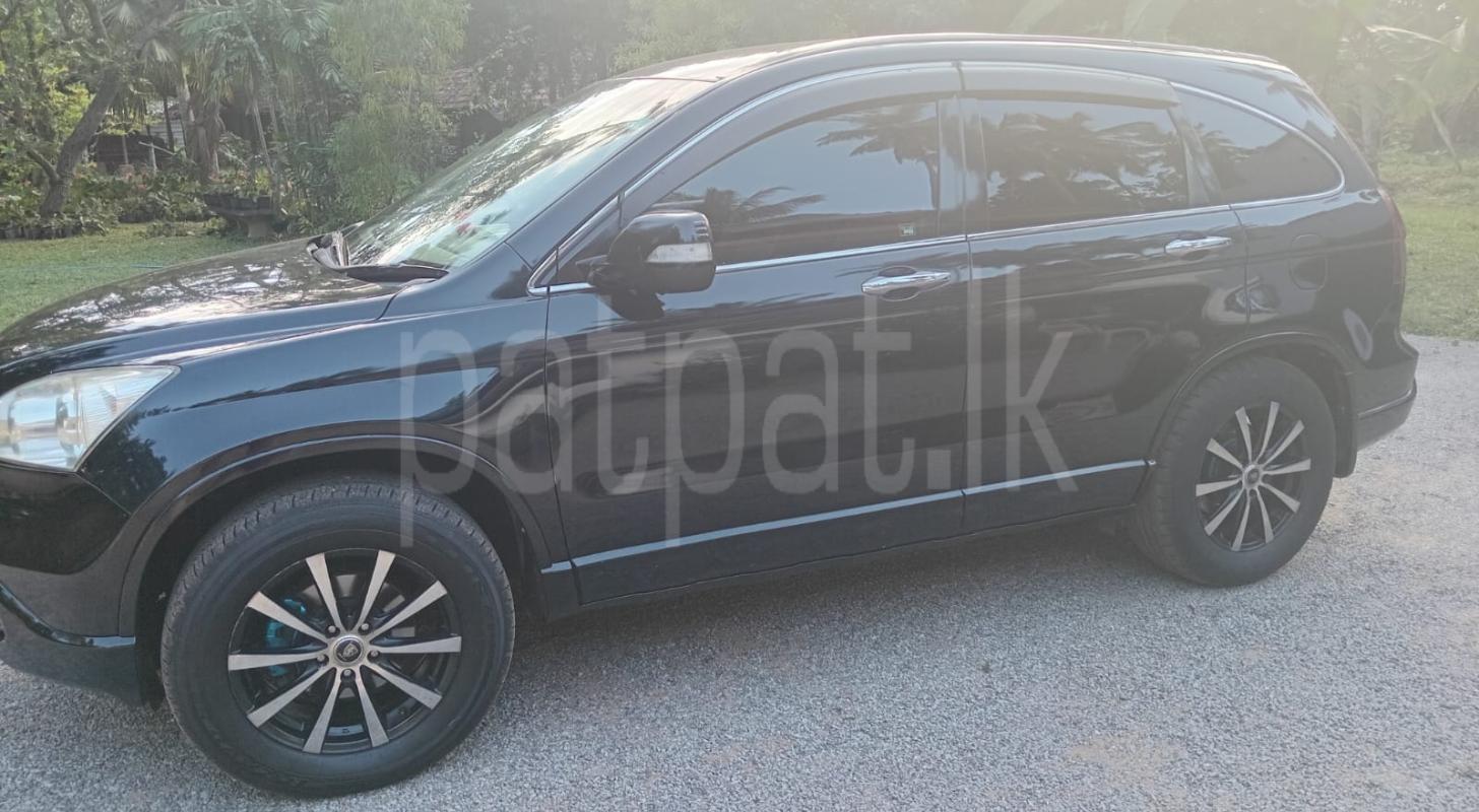 Advertisement image 3